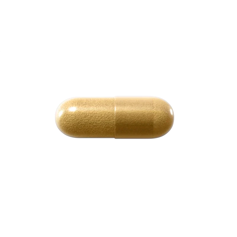 Natroceutics Lions Mane 60 Capsules