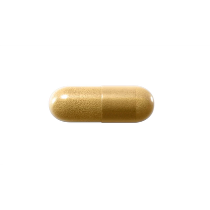 Natroceutics Lions Mane 60 Capsules