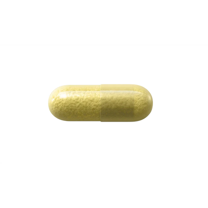 Natroceutics Milk Thistle 60 Capsules