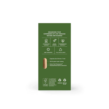 Natroceutics Green Tea 60 Capsules