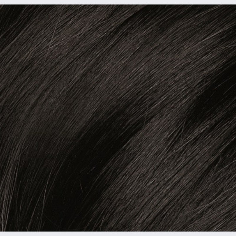 Naturtint Permanent 1N Ebony Black 170ml