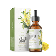 Alpha01 Mullein Extract Tincture 2000mg 60ml