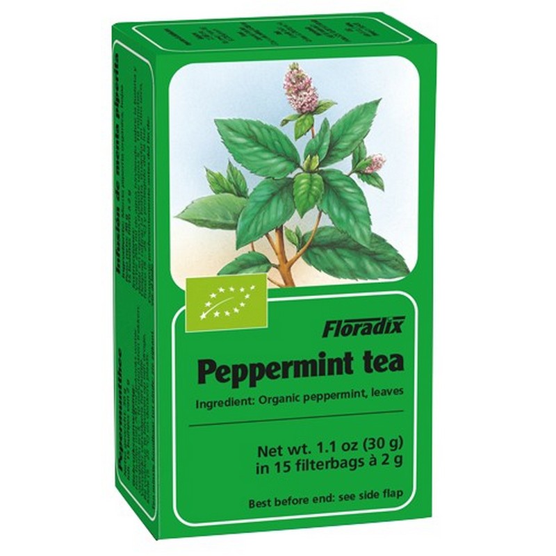 Floradix Peppermint Organic Herbal Tea 15 Filterbags