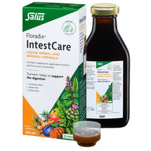 Floradix Intestcare 250ml