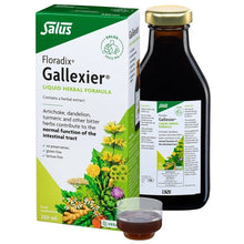 Floradix Gallexier Artichoke Food Supplement 250ml