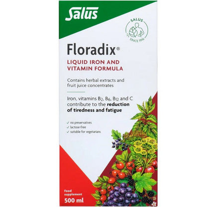 Floradix Liquid Iron Formula