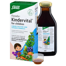 Floradix Kindervital Formula For Children