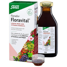 Floradix Liquid Iron Formula