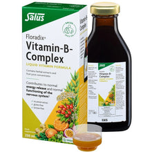 Floradix Vitamin B Complex 250ml