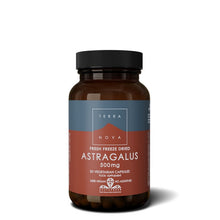 Terranova Astragalus 500mg
