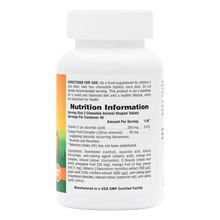Natures Plus Animal Parade Sugar Free Vitamin C 90 Chewables