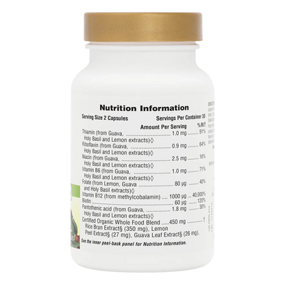 Natures Plus Source Of Life Garden Organic Vitamin B-12 1000mcg 60 Capsules