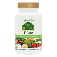 Natures Plus Source Of Life Garden Organic Folate 60 Capsules