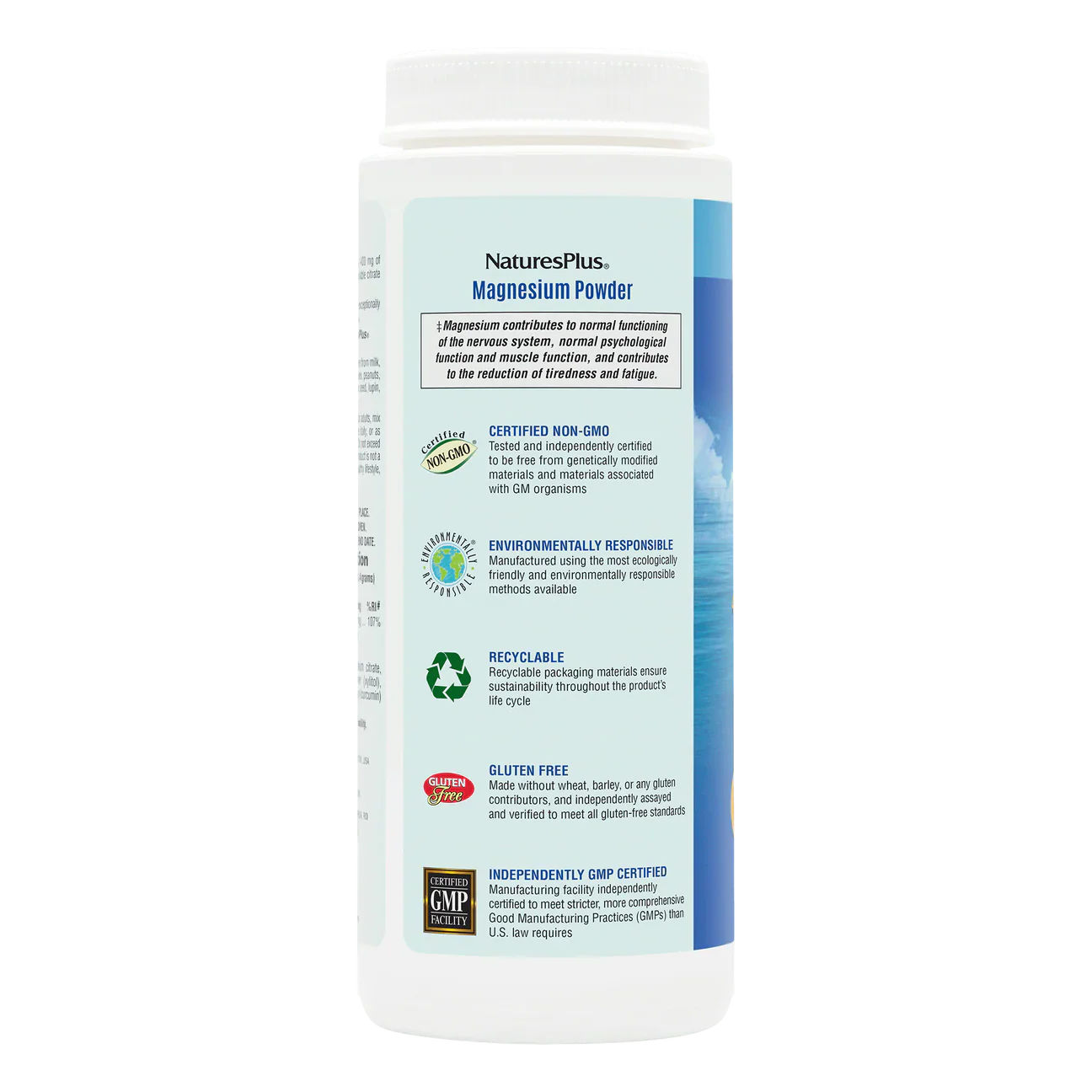 Natures Plus Orange Magnesium Powder 504g
