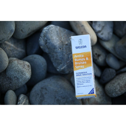 Weleda Arnica Bumps and Bruises Skin Salve (UK) 25g