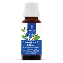 Weleda Prunus Spinosa 6X Drops 25ml