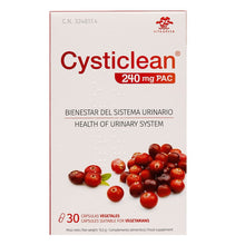 Cysticlean 240mg