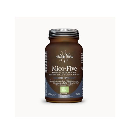 Hifas da Terra Mico Five CHAGA