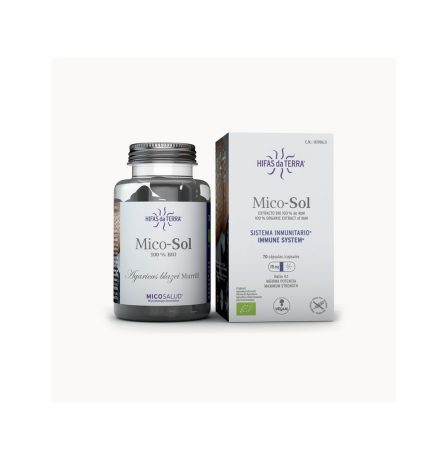 Hifas da Terra Mico-Sol