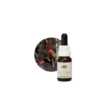 Australian Bush Flower Essences Bauhinia 15ml
