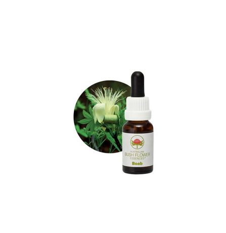 Australian Bush Flower Essences Boab 15ml