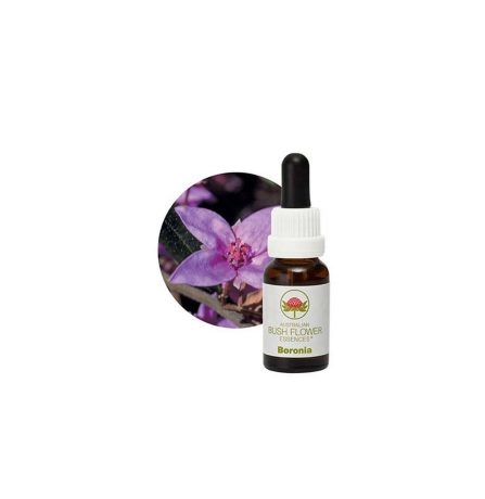 Australian Bush Flower Essences Boronia 15ml