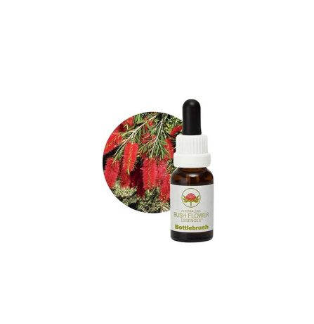 Australian Bush Flower Essences Bottlebrush 15ml