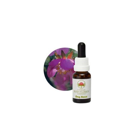 Australian Bush Flower Essences Dog Rose 15ml