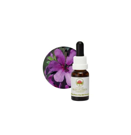Australian Bush Flower Essences Dog Rose of the Wild Forces 15ml