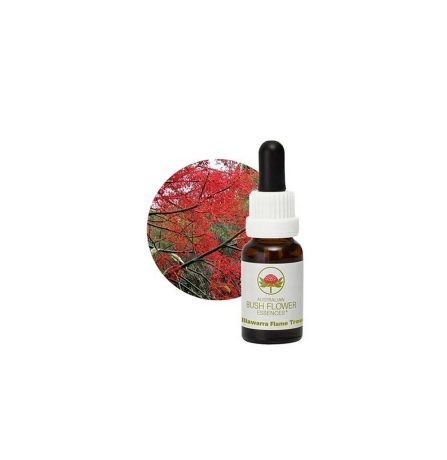 Australian Bush Flower Essences Illawarra Flame Tree 15ml