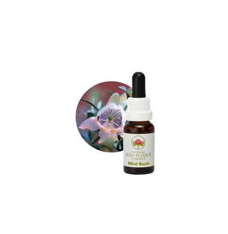 Australian Bush Flower Essences Mint Bush 15ml