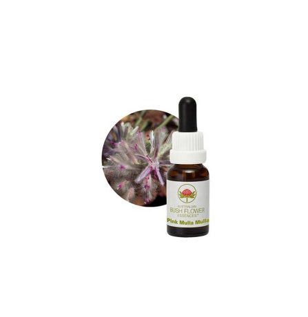 Australian Bush Flower Essences Pink Mulla Mulla 15ml