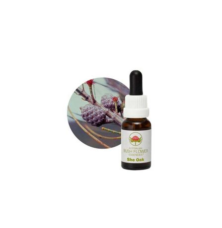 Australian Bush Flower Essences She Oak 15ml