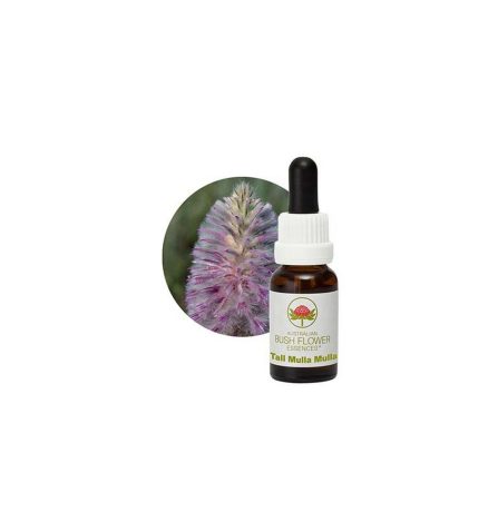 Australian Bush Flower Essences Boost Essence 30ml