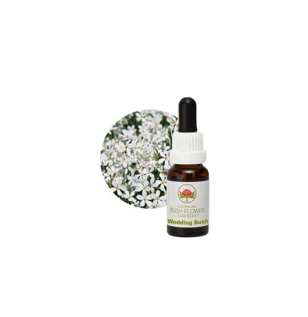 Australian Bush Flower Essences Wedding Bush 15ml