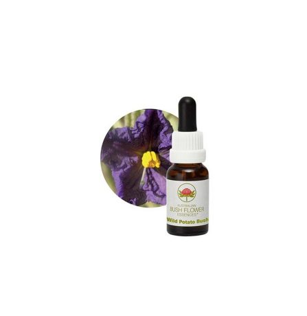 Australian Bush Flower Essences Wild Potato Bush 15ml