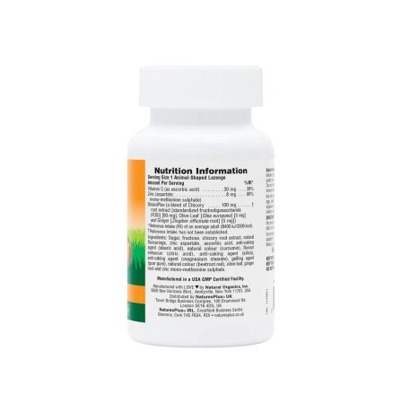 Nature's Plus Animal Parade Kidzinc 90 Lozenges - Image 3